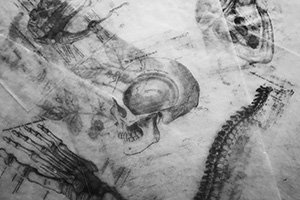 You are currently viewing Human Cadavers Shape the Past and Future of Medical Science