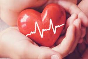 What Is The Difference Between Organ Donation And Whole-Body Donation?