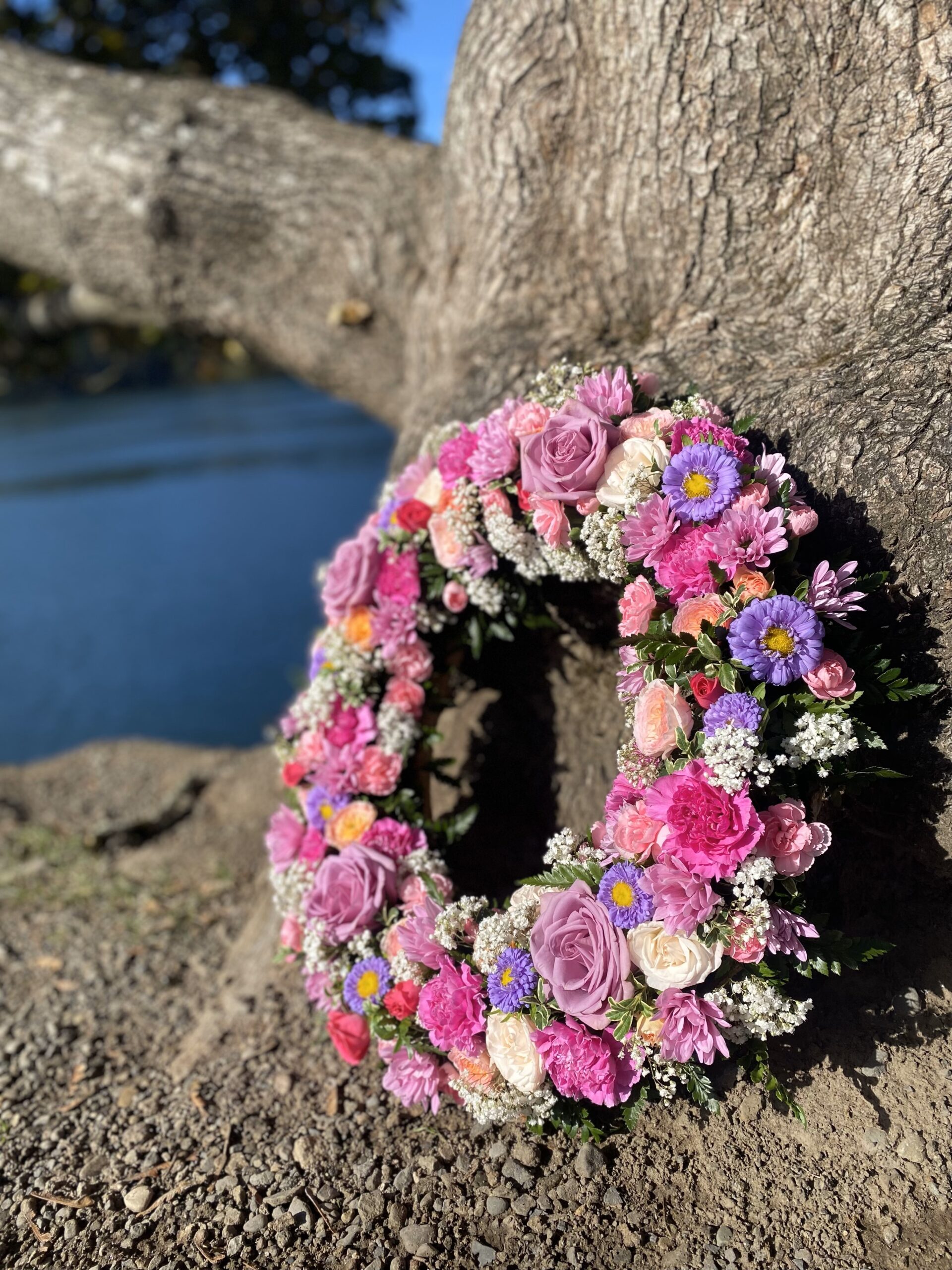 You are currently viewing Whole Body Donor Day 2024